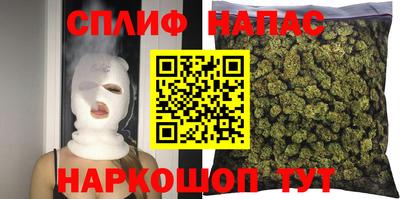 амф Дубна
