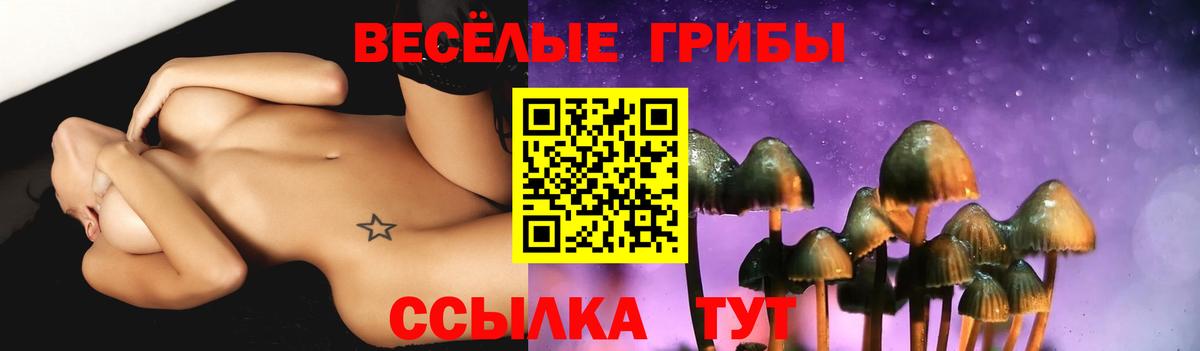 Псилоцибиновые грибы ЛСД Лысьва